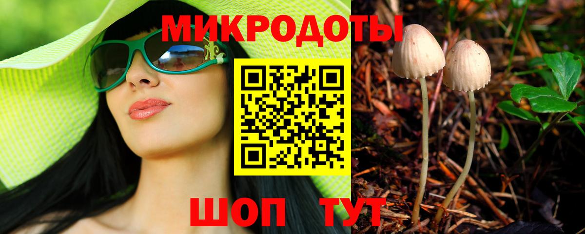 Галлюциногенные грибы Magic Shrooms Чернушка